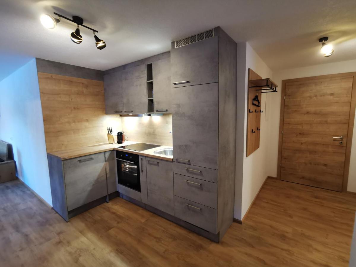 Appartement Bergfuier ホルツガウ エクステリア 写真